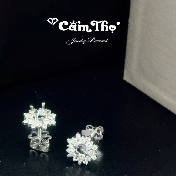 Bông tai kim cương